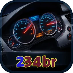 234br